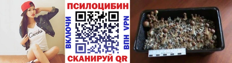 Купить закладки  Электроугли  Галлюциногенные грибы мухоморы 